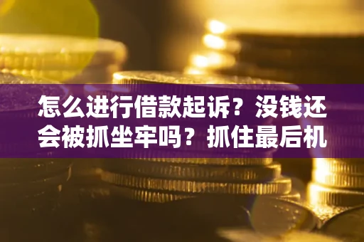 济南怎么进行借款起诉？没钱还会被抓坐牢吗？抓住最后机会！