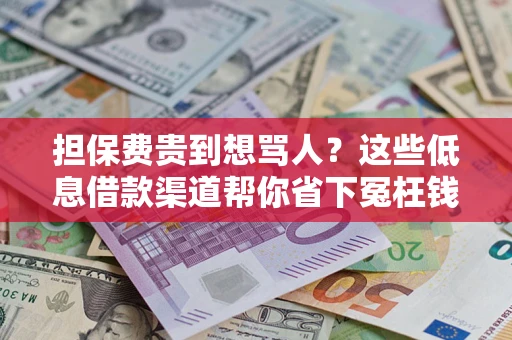 济南担保费贵到想骂人？这些低息借款渠道帮你省下冤枉钱