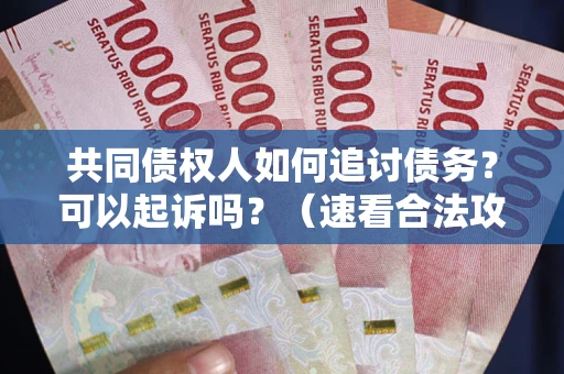 济南共同债权人如何追讨债务？可以起诉吗？（速看合法攻略）