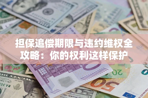 济南担保追偿期限与违约维权全攻略：你的权利这样保护
